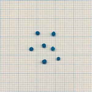 コート種子 ダイカンドラ 1kgの詳細画像1