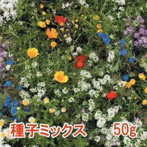 ヒナソウの種 花 ガーデニング の商品一覧 通販 Yahoo ショッピング
