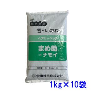 アカクローバー 10kg (500g×20袋) カネコ種苗 赤クローバー 種 種子