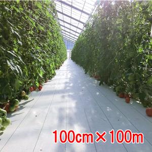 防草シート ルンルンシート 白ピカ 150cm×100m 小泉製麻 未使用