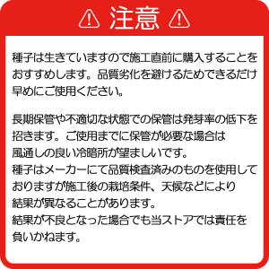 手まき種子 ダイカンドラ配合 2kg 10平米分の詳細画像1