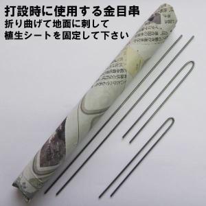 植生シート 補強ロープ付き 1mx25m巻 (...の詳細画像2