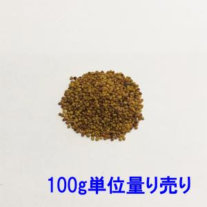 種子 シロクローバ 100g 牧草利用可能｜donoubukuro