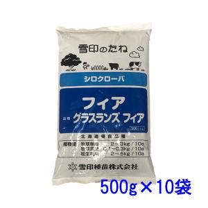 種子 アカクローバー （赤クローバー 品種名 KSRC1） お徳用500g袋