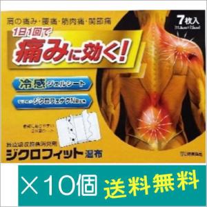 福地製薬 ビーエスバンZXテープ7枚【第2類医薬品】 : どらどらドラッグ