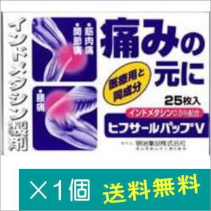 ヒフサールパップＶの商品画像