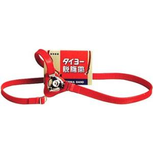 タイヨー脱腸帯 片側用E号 大人用（腰廻85cm迄）
