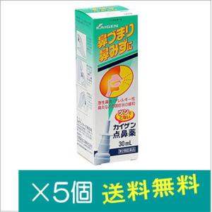 カイゲン点鼻薬30ml×5個【第2類医薬品】｜doradora-drug