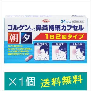 コルゲンコーワ鼻炎持続カプセルの商品画像