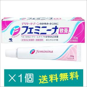 フェミニーナ軟膏Ｓ30g【第2類医薬品】｜doradora-drug