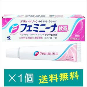 フェミニーナ軟膏Ｓ15g【第2類医薬品】｜doradora-drug