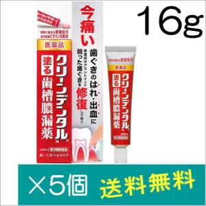 クリーンデンタルN 16g【第3類医薬品】×5個｜doradora-drug