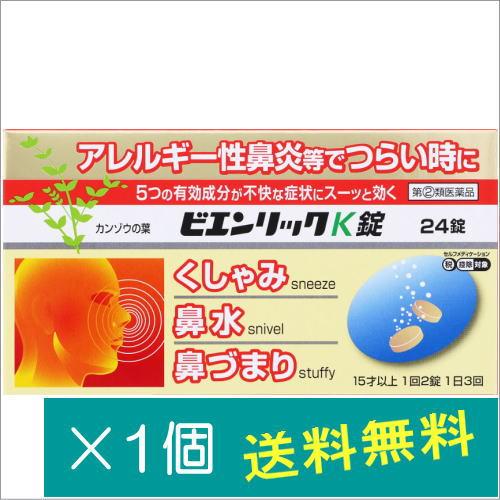 ビエンリックK錠 24錠【指定第2類医薬品】