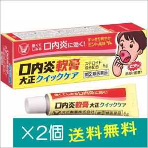 口内炎軟膏大正クイックケア5g×2個【指定第2類医薬品】｜doradora-drug