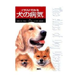 講談社（kodansha） イラストでみる犬の病気 オールカラーの写真と