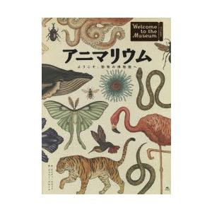 アニマリウム　ようこそ、動物の博物館へ　ジェニー・ブルーム/著　ケイティ・スコット/絵