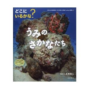 さがしてあそぼう!かくれるいきものしゃしんえほん　2　どこにいるかな?うみのさかなたち