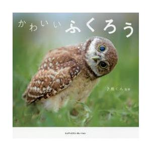 かわいいふくろう 鳥くん 監修 N ドラマ書房yahoo 店 通販 Yahoo ショッピング
