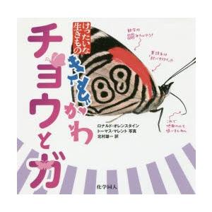 きもかわチョウとガ　ロナルド・オレンスタイン/〔著〕　トーマス・マレント/写真　北村雄一/訳