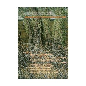 bun・ten 第69號 カミワザ!-驚異の立体...の商品画像