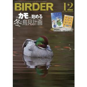 BIRDER 2022年12月号
