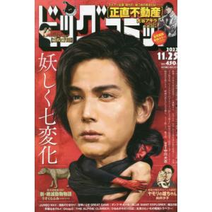 ビッグコミック 2022年11月25日号