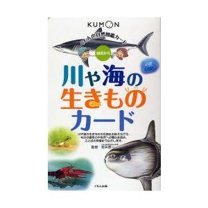 川や海の生きものカード　幼児から　岩井修一/監修
