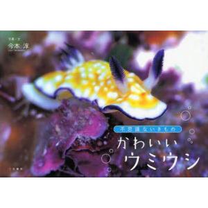 かわいいウミウシの商品一覧 通販 Yahoo ショッピング