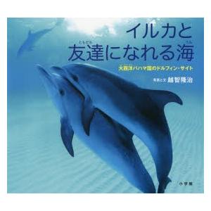 イルカと友達になれる海　大西洋バハマ国のドルフィン・サイト　越智隆治/写真と文
