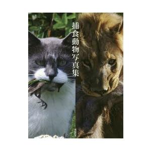 捕食動物写真集 本 雑誌 コミック の商品一覧 通販 Yahoo ショッピング