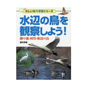 水辺の鳥を観察しよう!　湖や池・河川・海辺の鳥　飯村茂樹/著