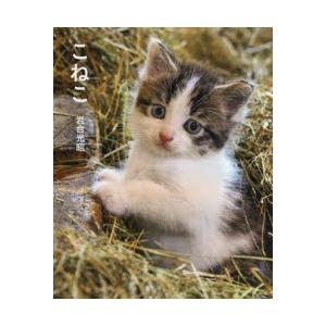 毎週末倍 倍 ストア参加 こねこ 岩合光昭 参加日程はお店topで Bk Bookfanプレミアム 通販 Yahoo ショッピング