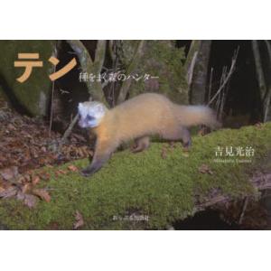 テン　種をまく森のハンター　吉見光治/写真文