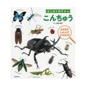 こんちゅう　おおきなしゃしんでよくわかる!　須田研司/監修