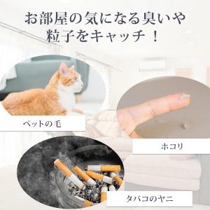 【お得な12枚入り】シャープに使える FZ-P...の詳細画像4