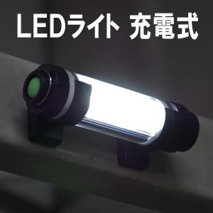 LEDライト 充電式 作業灯 釣り 投光器 照明 完全 防水 5500K 白色光 100LM 防塵防水IP68 充電器 ランタン ハンディライト LEDランプ アウトドア 防災 災害