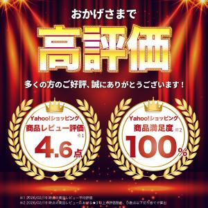 【期間限定Pアップ】室内物干し 壁付け 物干し...の詳細画像1