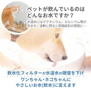 8個入 ピュアクリスタル/catit給水器に使...の詳細画像4