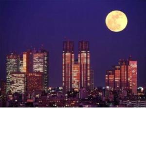 ジグソーパズル プチ 四季の詩 204スモールピース 新宿ツインタワーの商品画像