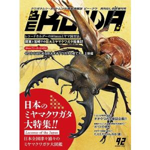 BE-KUWA (ビー・クワ) 99号 送料込み : 有限会社プロスパー - 通販