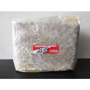 菌床ブロック　AG　3500ｃｃ×10個　KBファーム製　オオヒラタケ　AGブロック