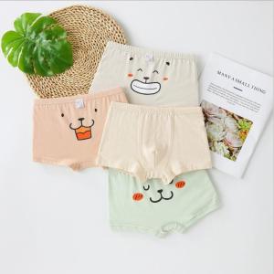 ショーツ パンツ インナー 2枚セット 肌着 綿 通園