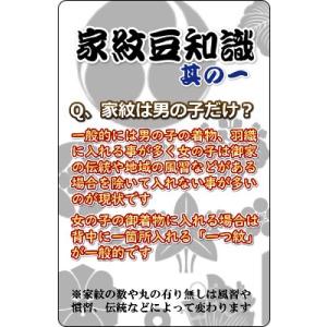 家紋入れ お宮参り着物の初着や七五三着物、羽織...の詳細画像3