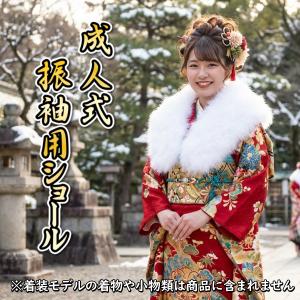 ショール | お宮参り着物が高品質お値打ち価格 京美