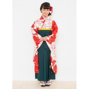 小学生幼稚園 卒業着物・袴 十三参り着物 | お宮参り着物が高 小学生幼稚園 卒業着物・袴 十三参り着物 | お宮参り着物が高