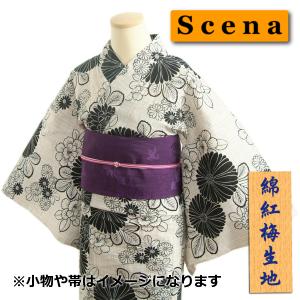 浴衣 ゆかた scenaブランド オフホワイト色 菊柄 さらっとした質感の綿紅梅生地使用 綿１００％