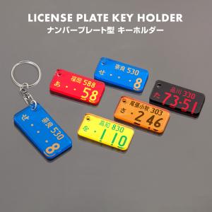 カラーナンバープレート キーホルダー レーザー彫刻 名入れ オリジナル オーダーメイド プレゼント 贈り物 納車記念 免許返納 愛車 廃車記念 (藤家)