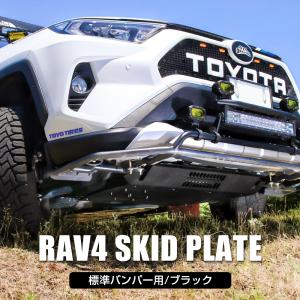 TANABEタナベアップ210 アップサス　RAV4 アドベンチャー TANABE 送料無料 タナベ UP210 リフトアップサス (1台分) RAV4