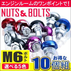 汎用 カラードワッシャー ボルト ナンバープレート 10個セット M6 フロントカウル パーツ DIY 部品 5色選択 USDM 外装 内装 カスタム