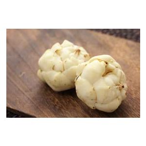 百合根 ゆりね 北海道産 秀品 １ｋｇ Mサイズ以上 正規品 ゆり根 十勝 忠類産/美瑛/芽室 百合...